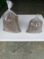 micro-e-mini-lettiere