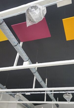 42c1b7b0-be1f-4956-87c7-b9d6dbb39803~1.jpeg 42c1b7b0-be1f-4956-87c7-b9d6dbb39803~1.jpeg