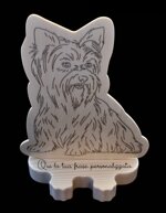 fermaporta-cagnolino