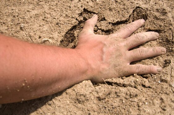 977254da-3de1-4209-9df4-e35b67c35f6c.jpeg 977254da-3de1-4209-9df4-e35b67c35f6c.jpeg