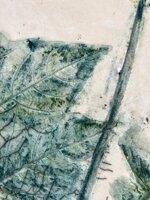 piatto-botanico-in-ceramica-raku-tracce-di-natura-diam20