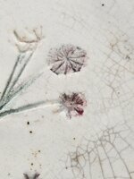 piatto-botanico-in-ceramica-raku-tracce-di-natura-diam17