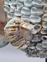 pesce-tropicale-onde-di-luce-scultura-in-ceramica-raku-17x14x7