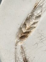 piatto-botanico-in-ceramica-raku-tracce-di-natura-diam17