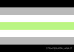 bandiera-dellorgoglio-agender