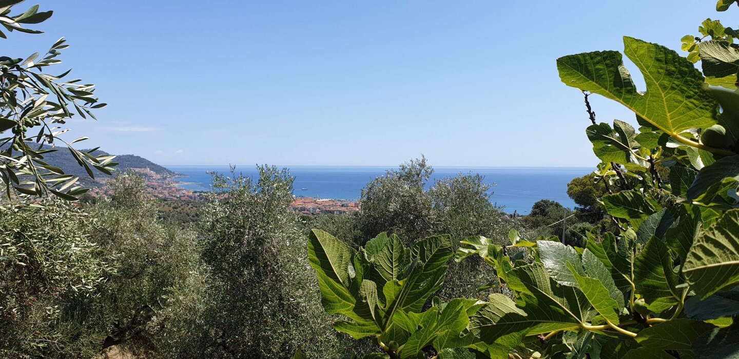 2ea473b4-bbcb-44f2-a890-410bdf50cafd.jpeg 2ea473b4-bbcb-44f2-a890-410bdf50cafd.jpeg