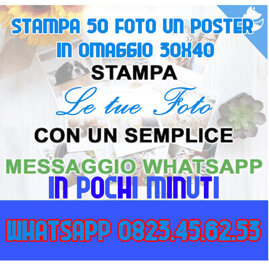 0e660e80-dc6f-4bee-b455-a93234761ab3 0e660e80-dc6f-4bee-b455-a93234761ab3