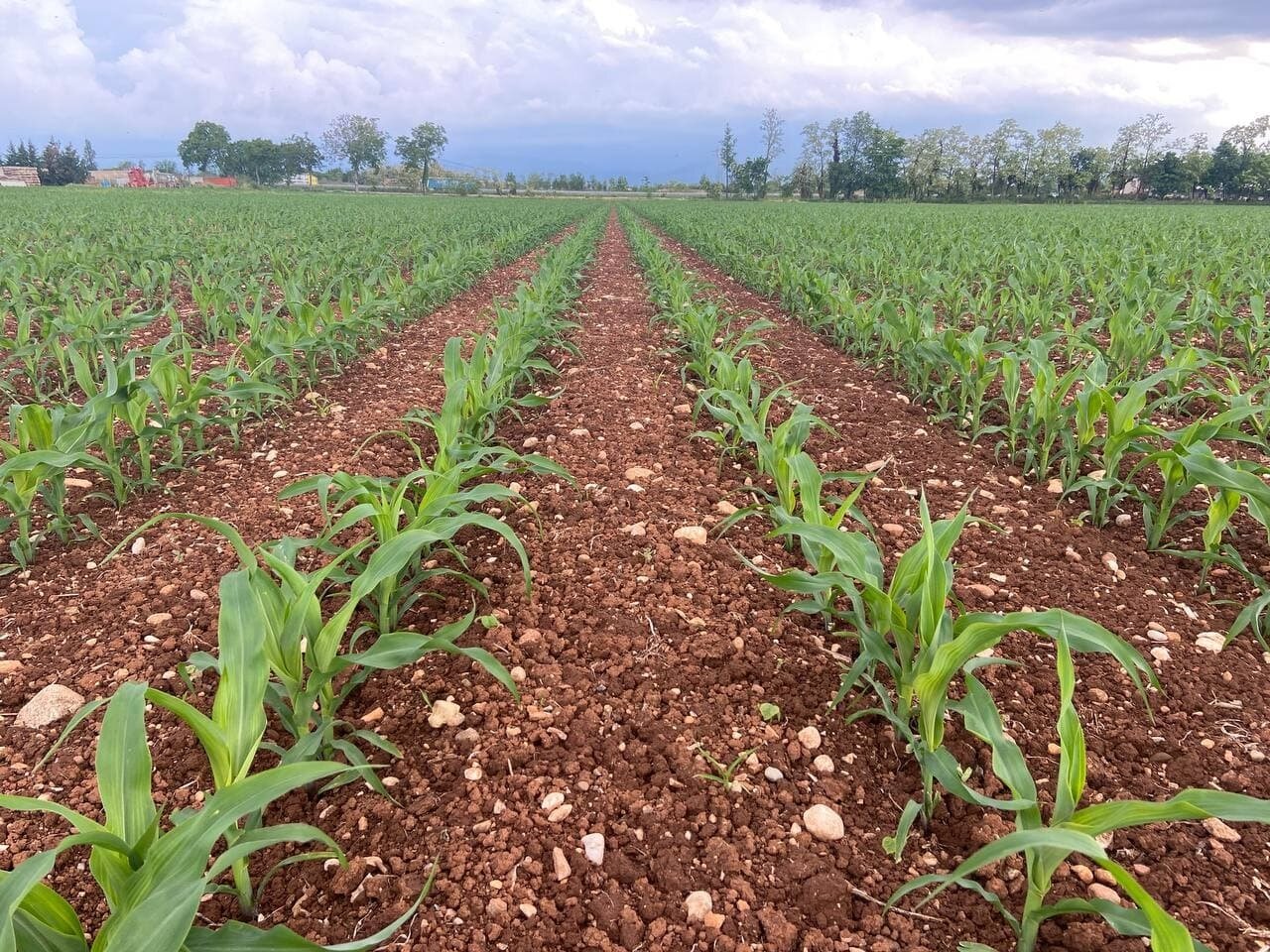L' agricoltura di precisione al servizio dell' agricoltore moderno. L' agricoltura di precisione al servizio dell' agricoltore moderno.
