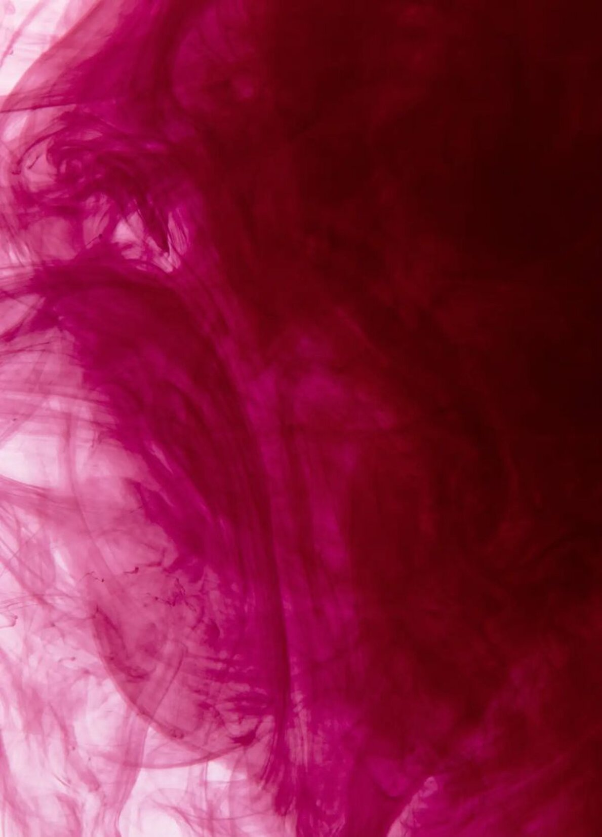 109fc53b-a57f-42e6-9a19-3a487f096b77