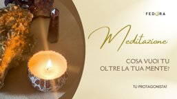 8eca49ec-d89f-4f15-ba24-33d521aaee07