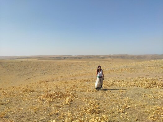 03a55b28-b1d1-4e36-afa6-902008bbfce1