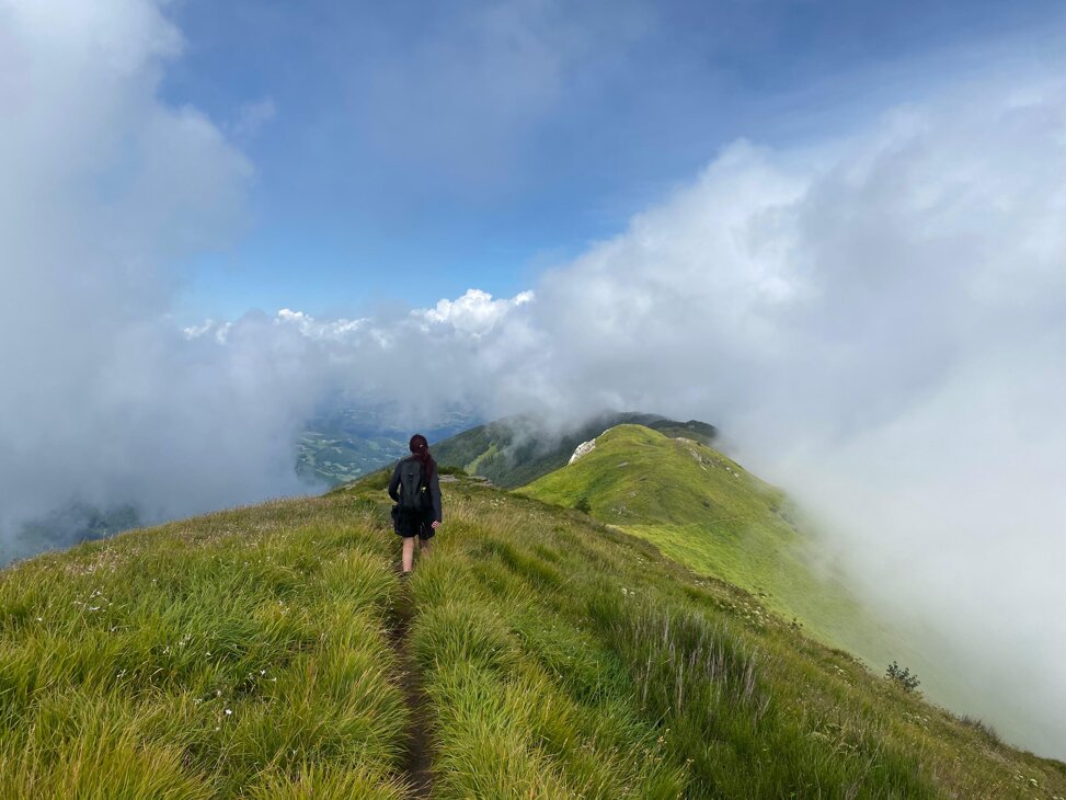 4f4f6950-323c-48da-8fcb-6d16a21f29d8