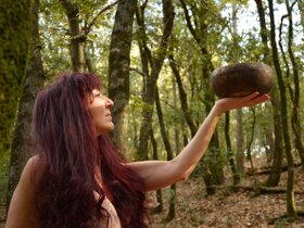 49f3e1aa-28c9-4eda-a517-0f3e07f4c52b