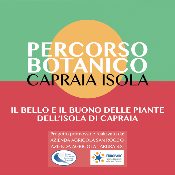 91424ddc-5de4-41dc-9025-f863ad4f1202