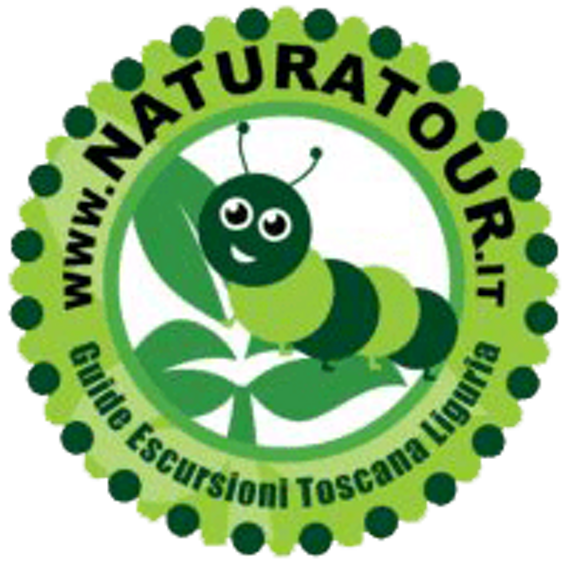 https://www.naturatour.it/