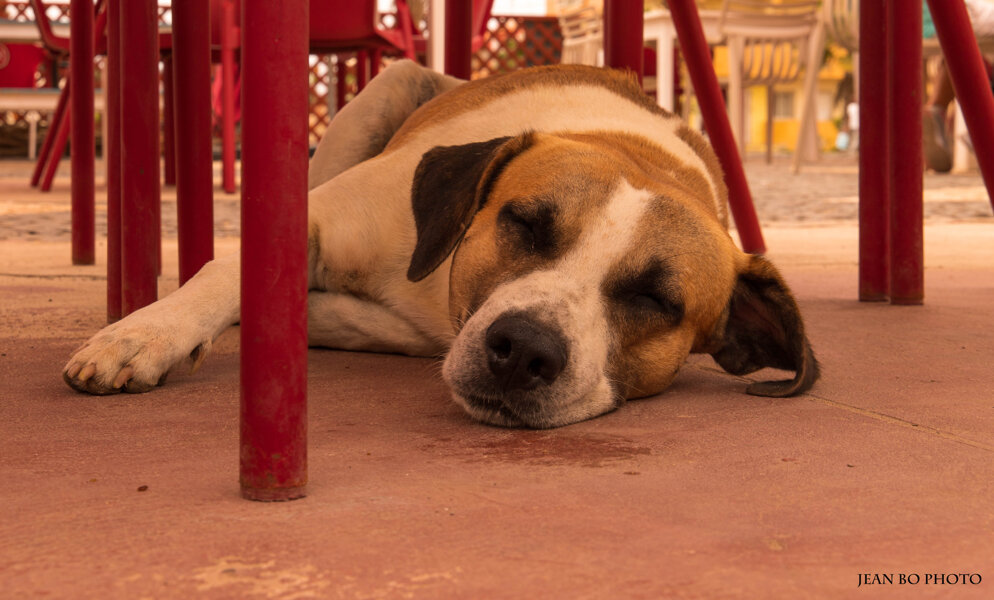Under the table