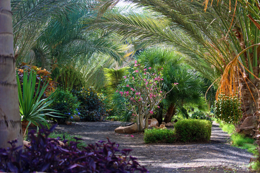 Sponsor VIVEIRO GARDEN