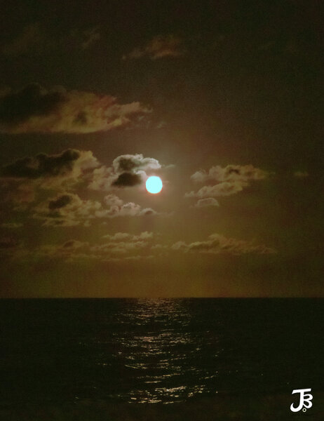Rays on the sea