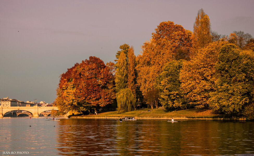 River bank in autumn