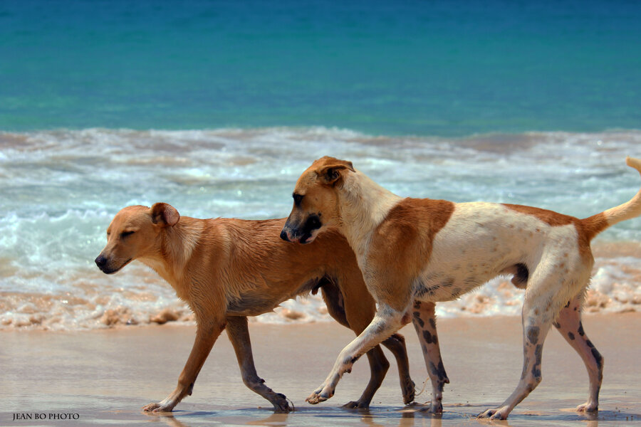 On the beach