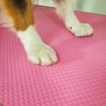 tavolo-elevatore-telaio-elettrico-90x60cm