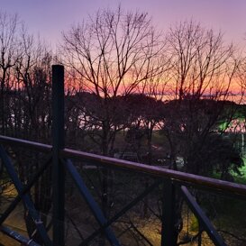 d5b7fef0-c919-4008-931c-1fa8a8f60e20 d5b7fef0-c919-4008-931c-1fa8a8f60e20