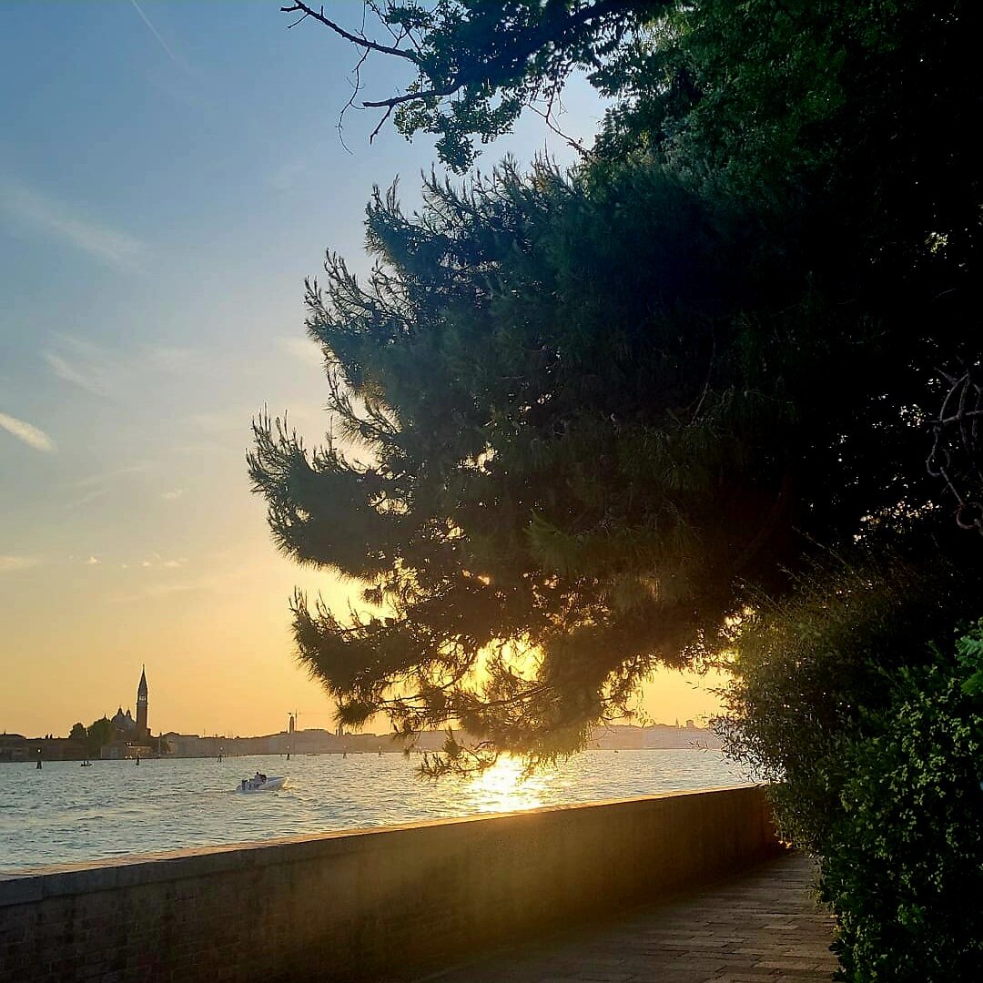 Venice in extreme heat: a dignified survival guide for our guests