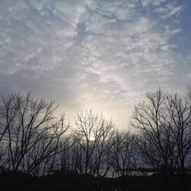 4f55ac37-df36-4c25-9131-4c06d65b241d 4f55ac37-df36-4c25-9131-4c06d65b241d