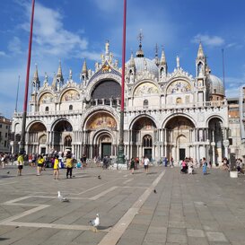 d55d0f75-c55c-412c-bc16-30be64ff8e4c