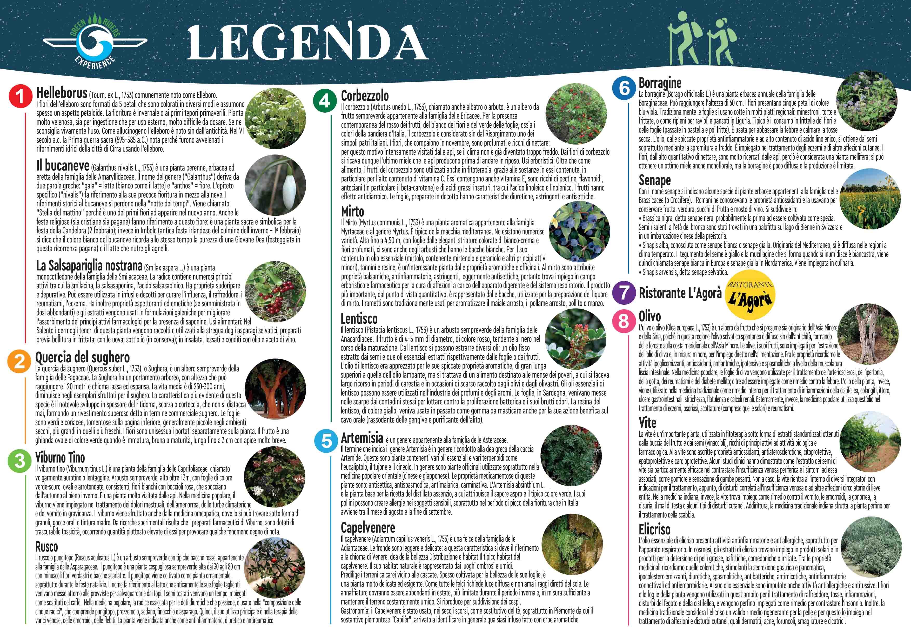 2a442b2a-56f4-4aae-8442-141ab61e3ae8.jpg 2a442b2a-56f4-4aae-8442-141ab61e3ae8.jpg