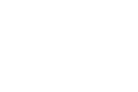 dojo_ravenna_dragon_white dojo_ravenna_dragon_white