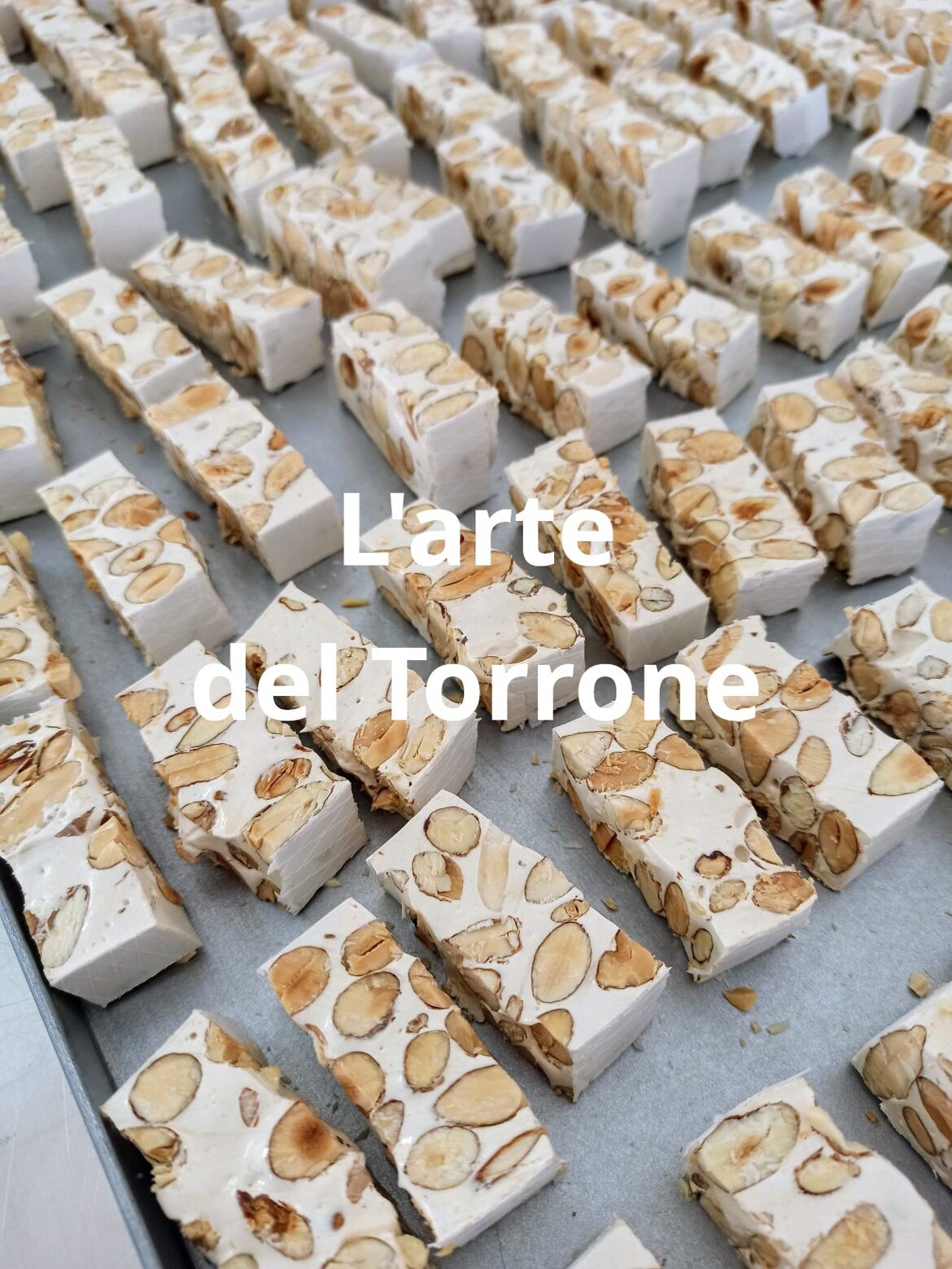 416561c4-c13b-48ce-9ec8-ced7419229e9 416561c4-c13b-48ce-9ec8-ced7419229e9