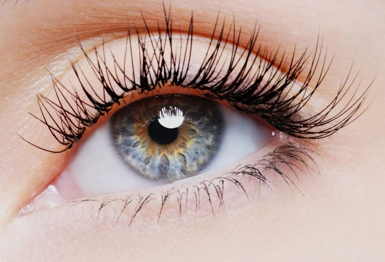 Tutto ci&ograve; che devi sapere sulle Extension per Ciglia.