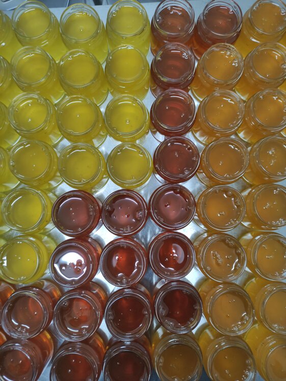 76e12b65-cd71-4dac-b957-3d52e5d237b2