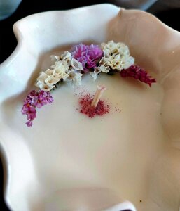 828f8de5-4a70-45bb-94cf-c39df82d12ef 828f8de5-4a70-45bb-94cf-c39df82d12ef