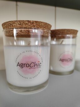 0887647a-0045-4978-9081-96224e77b027