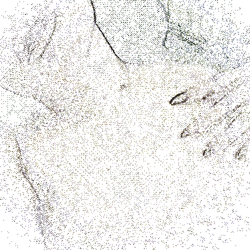 3ca078dc-384f-4762-a891-036510e147e2 3ca078dc-384f-4762-a891-036510e147e2