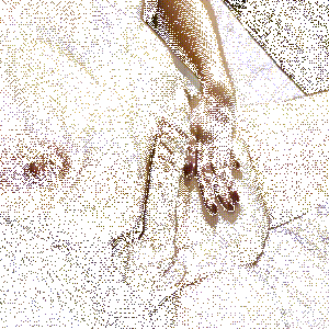 8dfb5468-85ed-4d37-ace4-e0c7f087c576 8dfb5468-85ed-4d37-ace4-e0c7f087c576