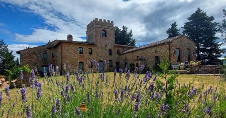 850d8620-05b5-42e7-88f1-98d2bd2ed20a 850d8620-05b5-42e7-88f1-98d2bd2ed20a