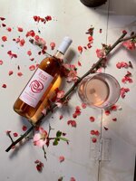 rosa-di-poggiolato-2024