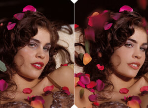 b7ad1f99-3704-4a54-88a1-5eb85154c10a