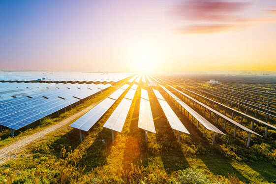 6bb8fa01-dcb4-4d12-b7cc-a91b5e50694a 6bb8fa01-dcb4-4d12-b7cc-a91b5e50694a