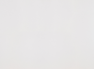 1611323220.497_beige-luna12x12.jpeg 1611323220.497_beige-luna12x12.jpeg
