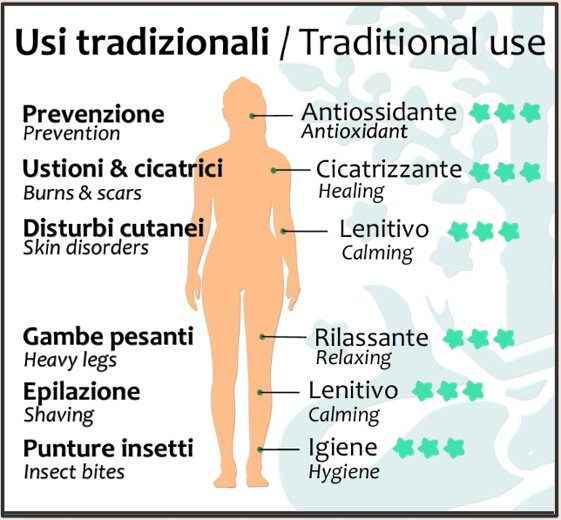 a9ece97b-50f3-4e38-a258-b3918ba7e025