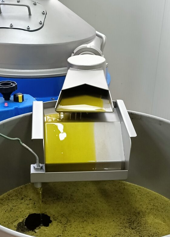 1e392f7d-2ff6-4819-8b77-09291591dca1