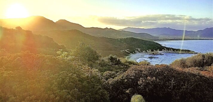 a44ba4c1-4ad4-4b31-b697-175696c0e638