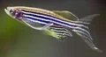 a509103d-72b1-4603-99de-8f7363781986