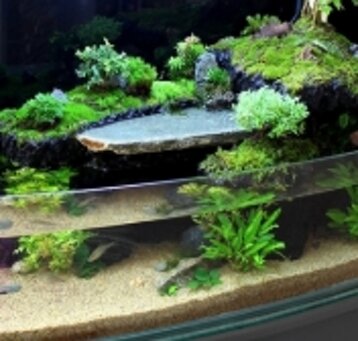 6f56b2a1-0869-494a-89f6-829ae78e5315.jpeg 6f56b2a1-0869-494a-89f6-829ae78e5315.jpeg