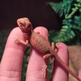 c8261c37-300f-4917-8934-8469022efeb4 c8261c37-300f-4917-8934-8469022efeb4