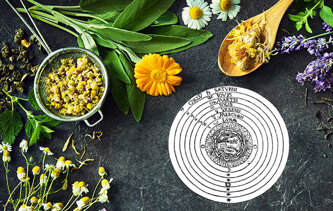 b05d209e-73fb-4f14-a26e-1d774cf1e9e2 b05d209e-73fb-4f14-a26e-1d774cf1e9e2